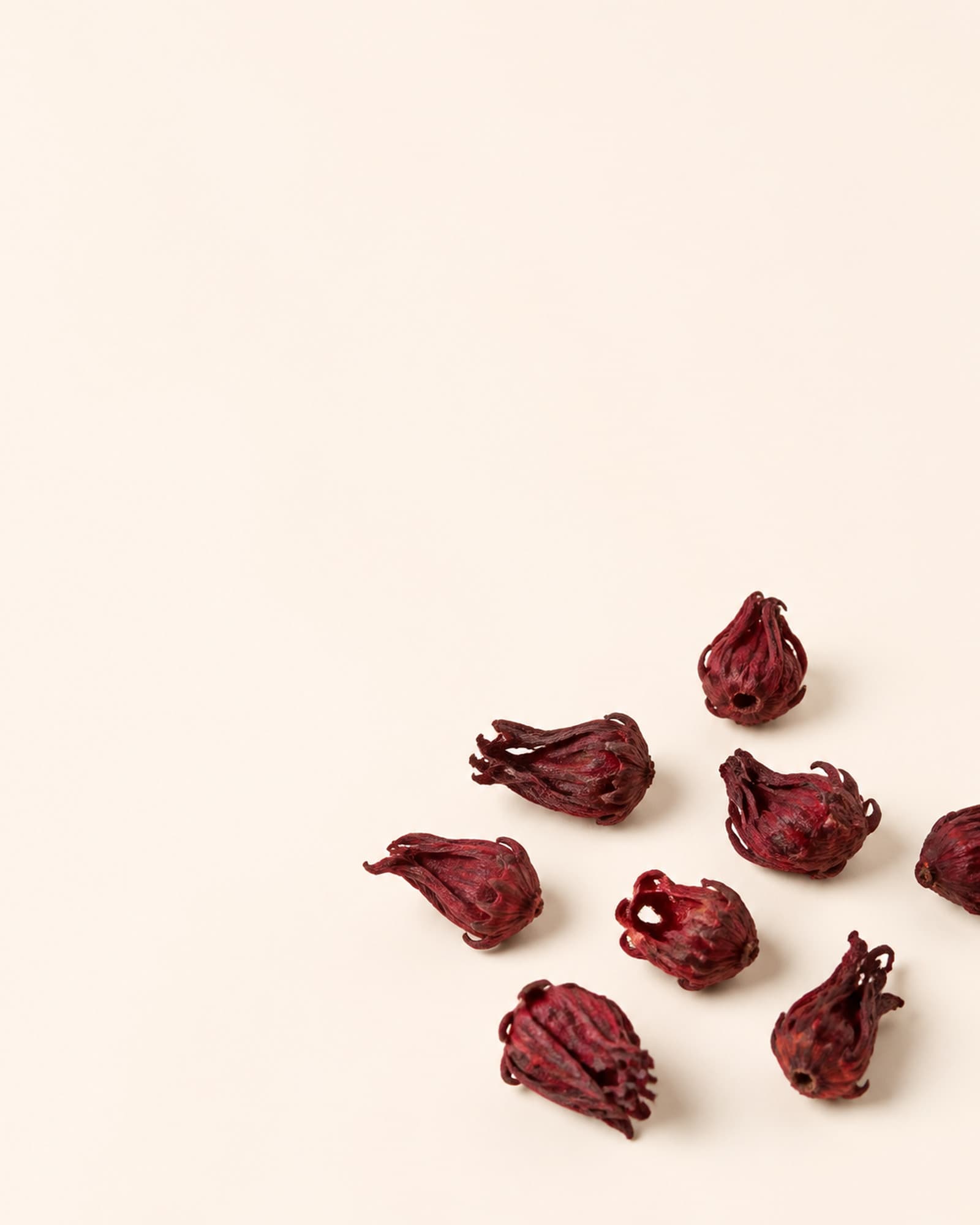 Calices d'hibiscus séchés, éparpillés sur un fond crème.